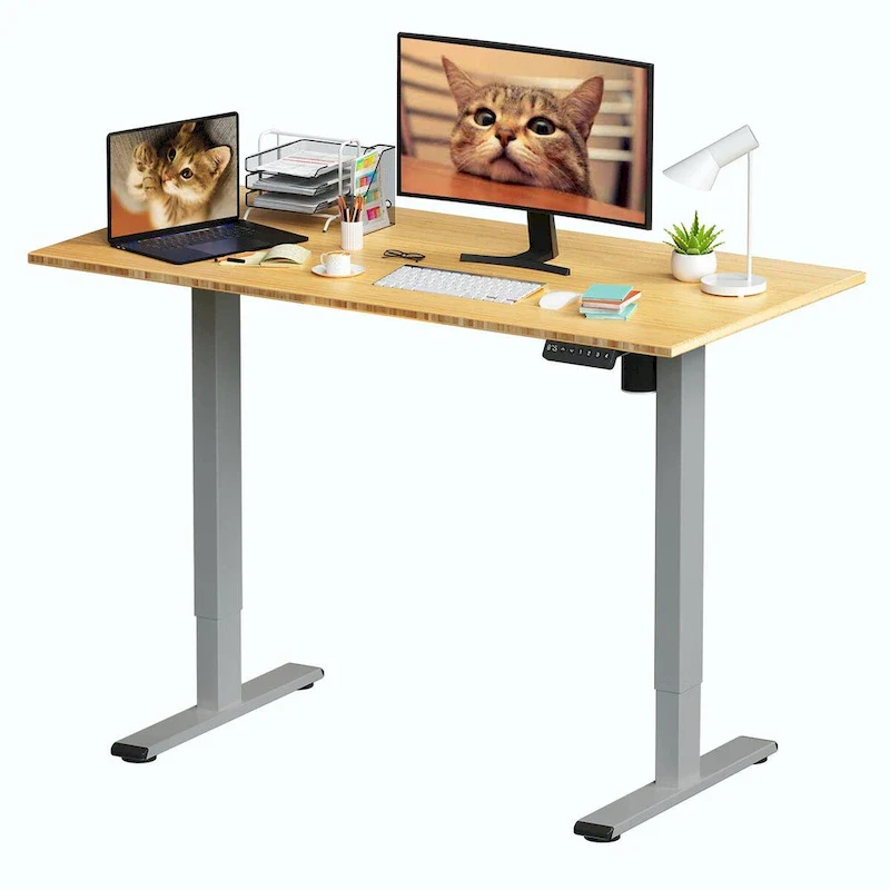 Bamboo Electric Height Adjustable Standing Desk - Single User