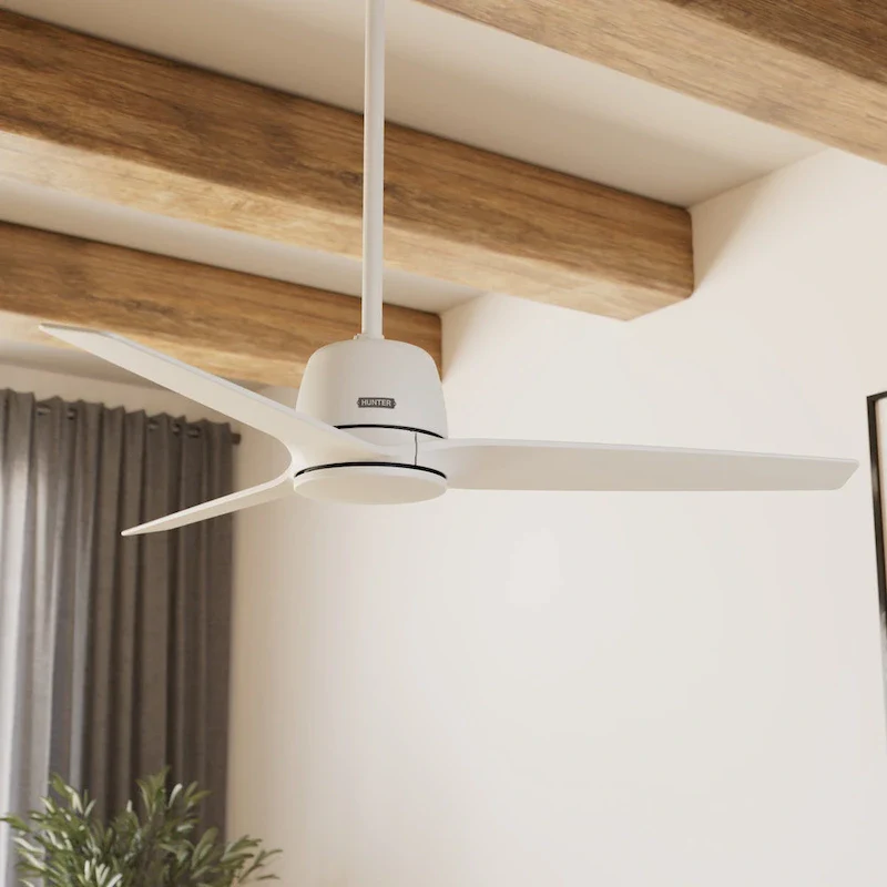 Hunter + Jasmine Roth 52  Malden Ceiling Fan and Handheld Remote - Contemporary, Modern - Designer!