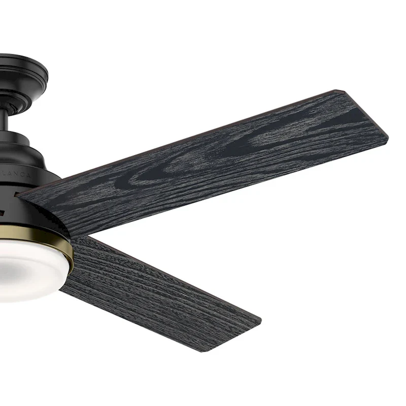 Casablanca 54  Daphne Ceiling Fan with LED Light Kit and Wall Control - Transitional