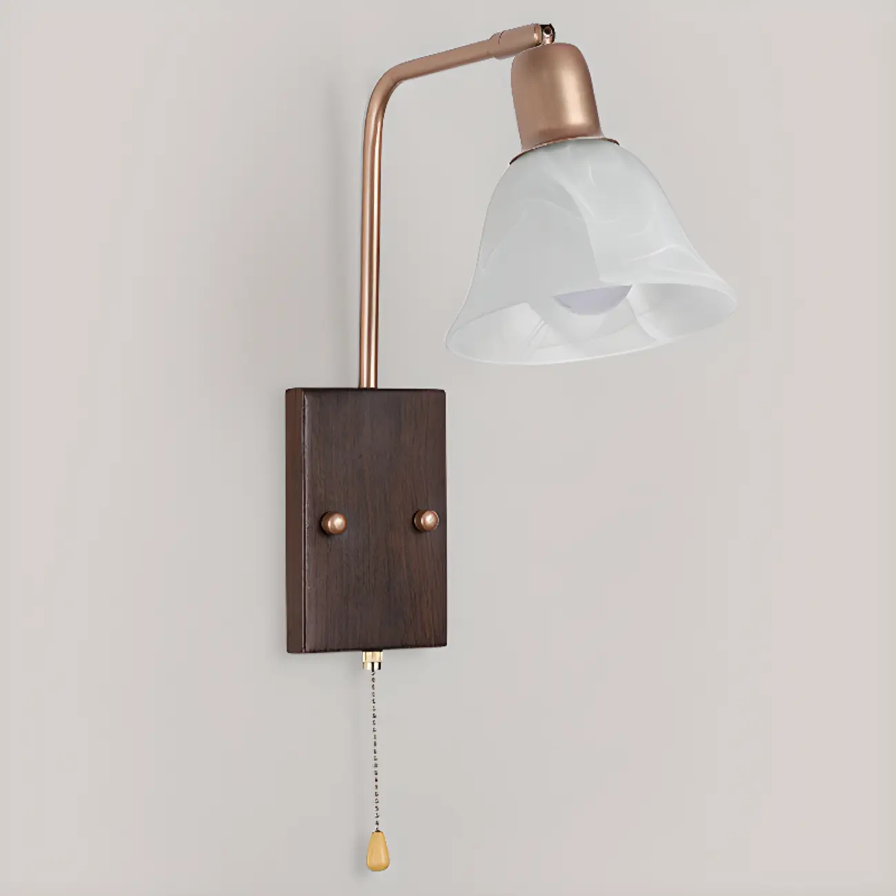 Elegant Swing Arm Wall Mount Light with Pull Chain Switch