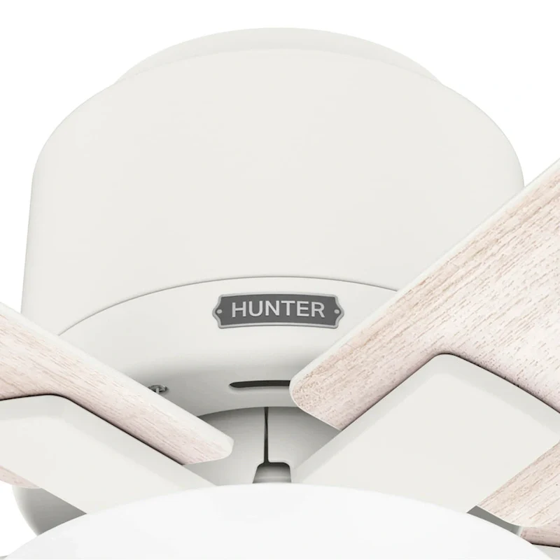 Hunter 44  Fitzgerald Low Profile Ceiling Fan with LED Light Kit and Pull Chain