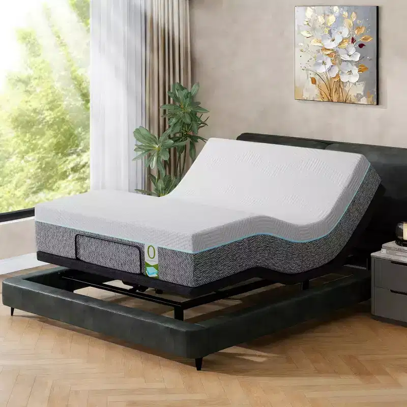 Dyonery Adjustable Bed Frame Head/Foot Lift Pillow Tilt Smart APP Control Massage
