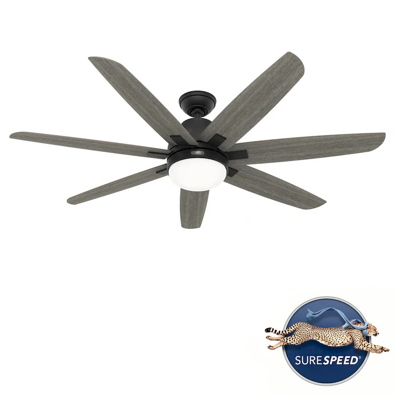 Hunter 60  Wilder Ceiling Fan with LED Light Kit and Wall Control