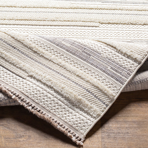 Zaragoza Rug -ZRZ2317-537