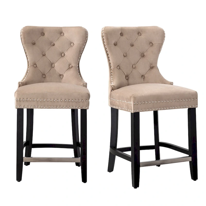 Carter 24  Wingback Tufted Nailhead Counter Stool (Set of 2)
