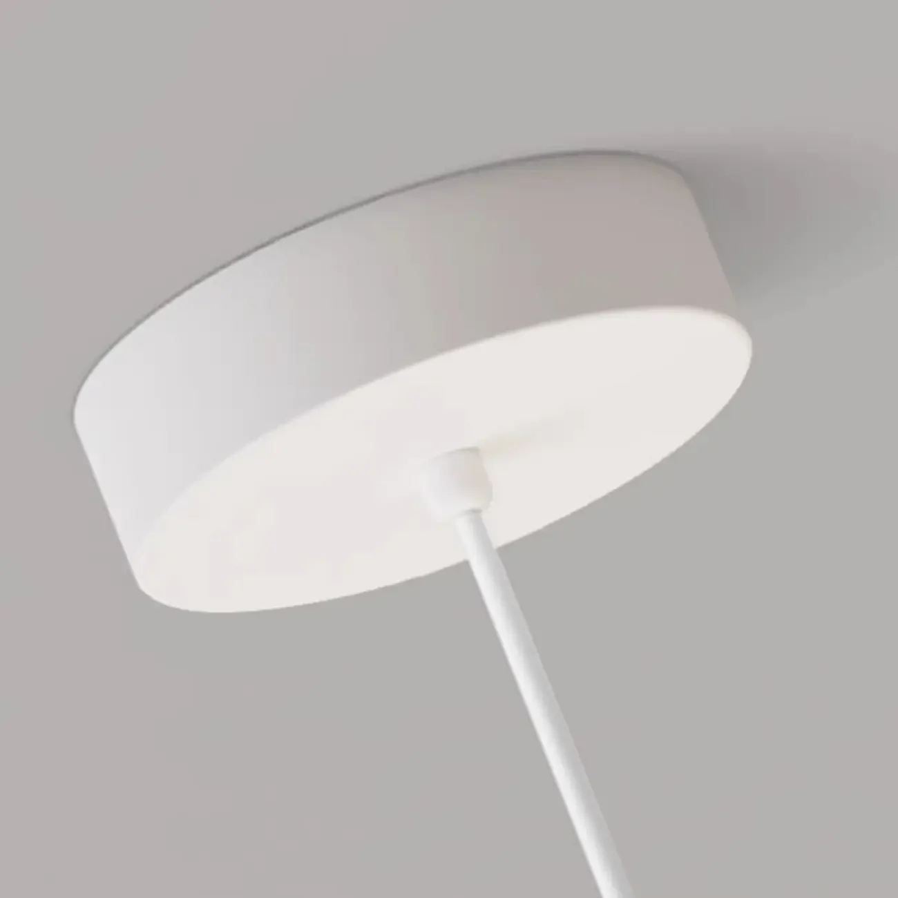 Cartoon Animal White Metal Acrylic Globe Pendant Light