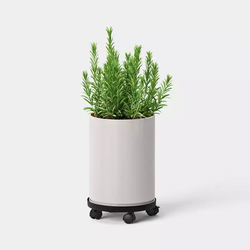 12" Plant Caddy on Wheels Planter Stands and Holders Black - Threshold™