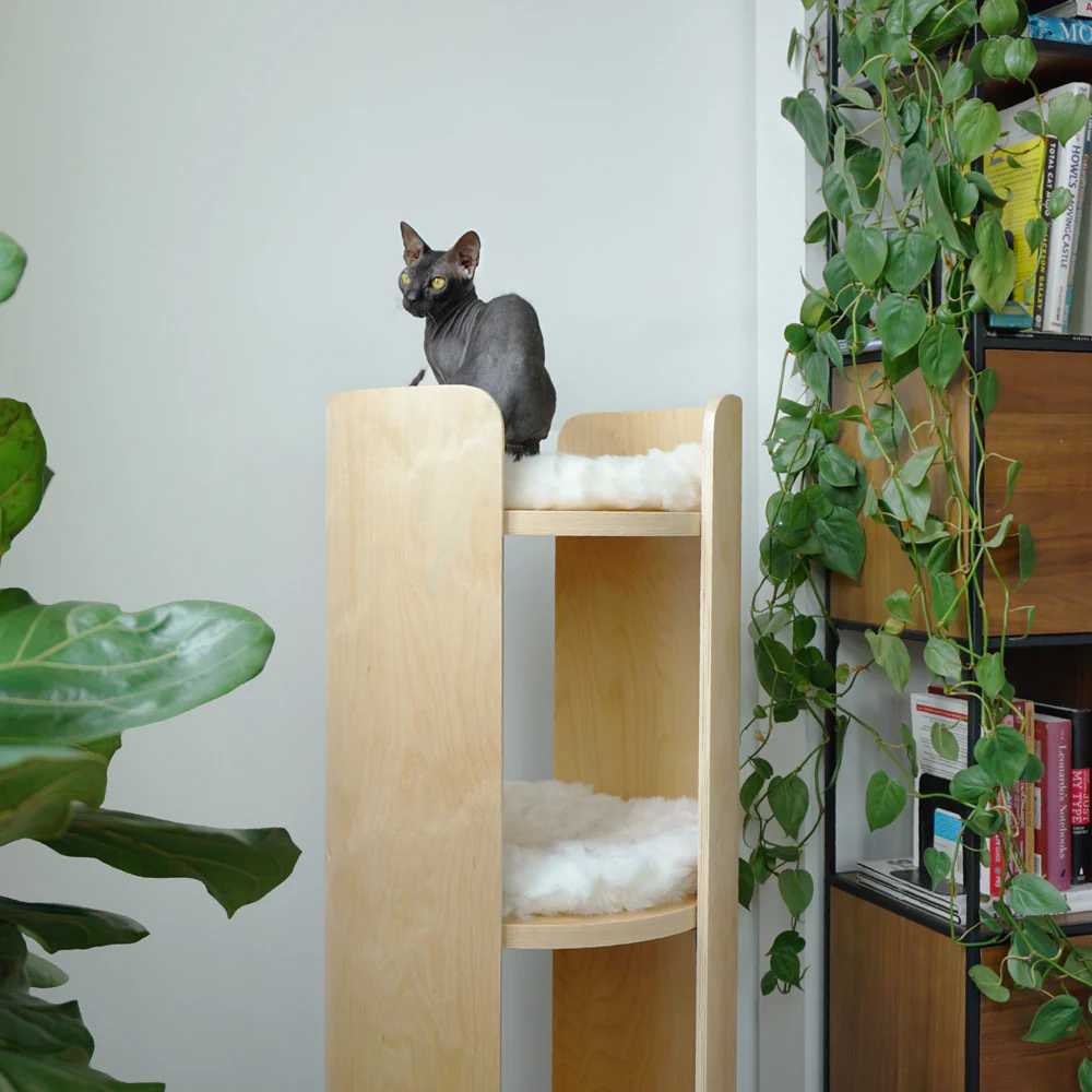Castillo (Tall)