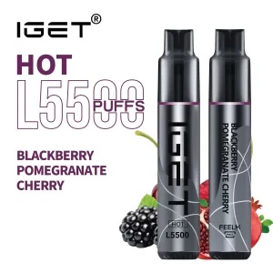IGET HOT 5500 Puffs 31 Flavors