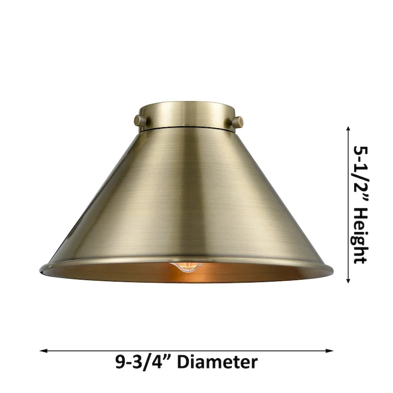 Innovations Lighting Briarcliff - 1 Light 10  Mini Pendant
