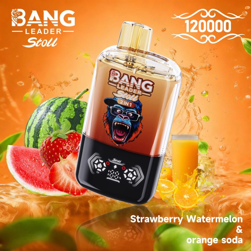 BANG LEADER 120K
