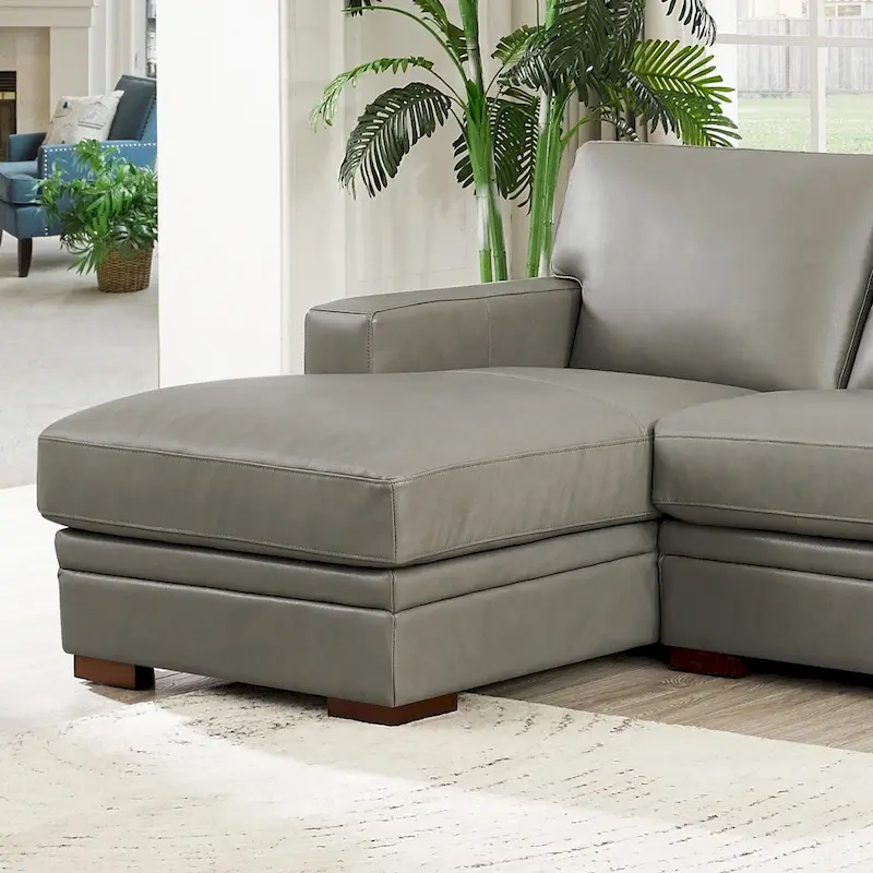 Hydeline Dillon Top Grain Leather Left-Facing Sectional Sofa with Chaise