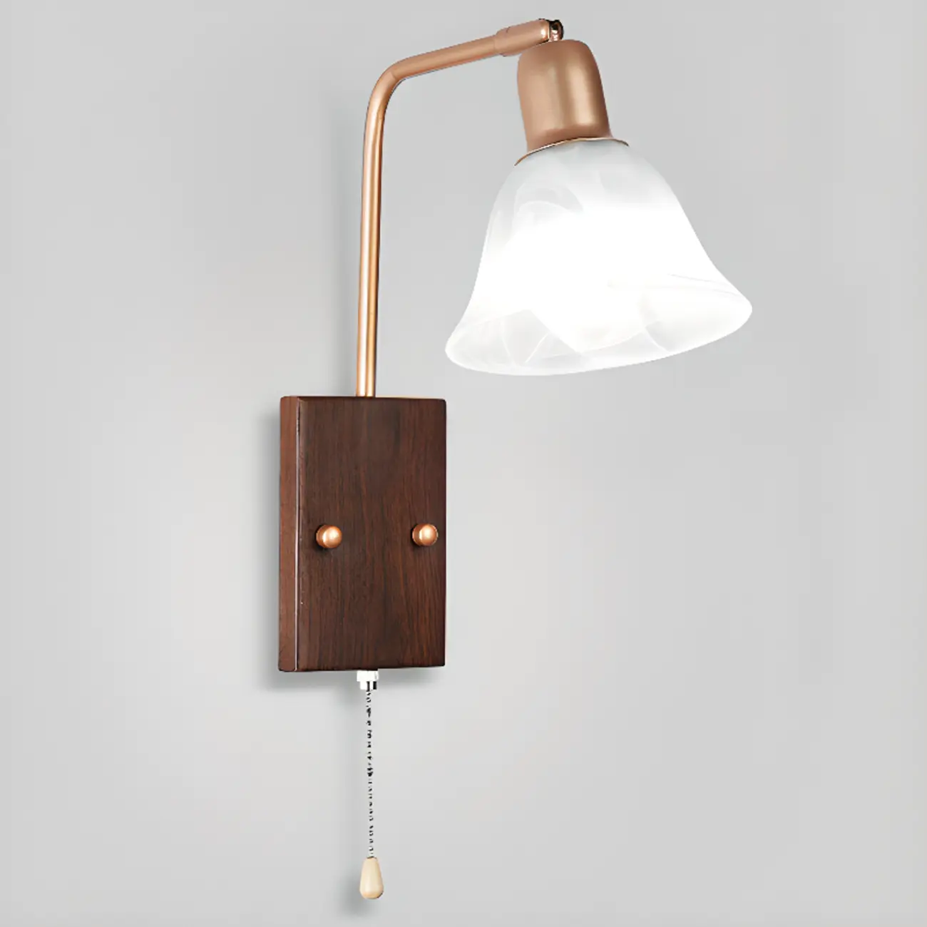 Elegant Swing Arm Wall Mount Light with Pull Chain Switch