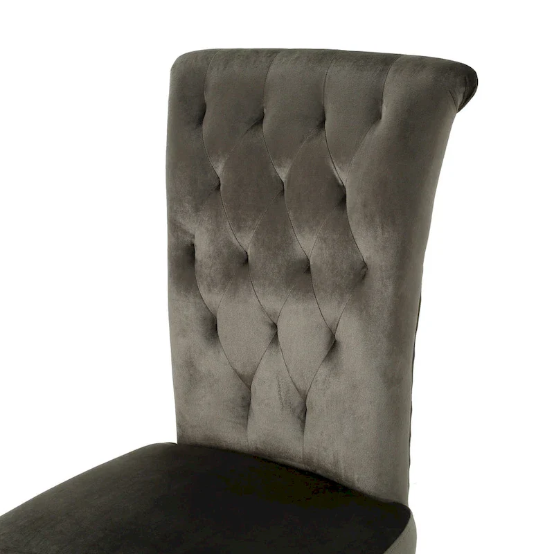 Venetian Velvet Dining Chair (Set of 2) by