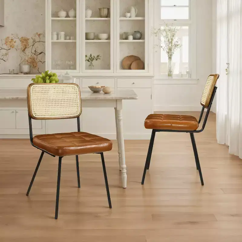 Art Leon Set of 2 Faux Leather Armless Cane Dining Chair with Metal Frame