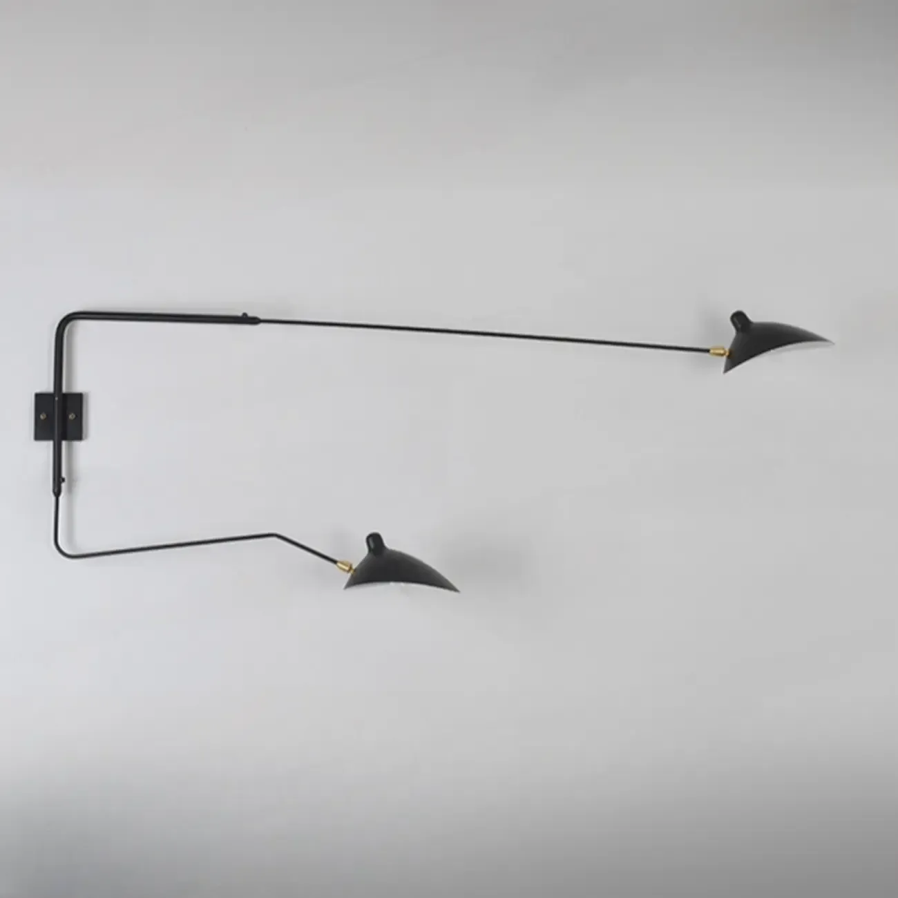 Modern Metal Industrial 2-Light Swing Arm Wall Light