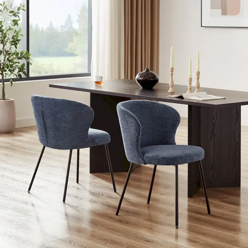 Modern Dining Chairs, Set of 2