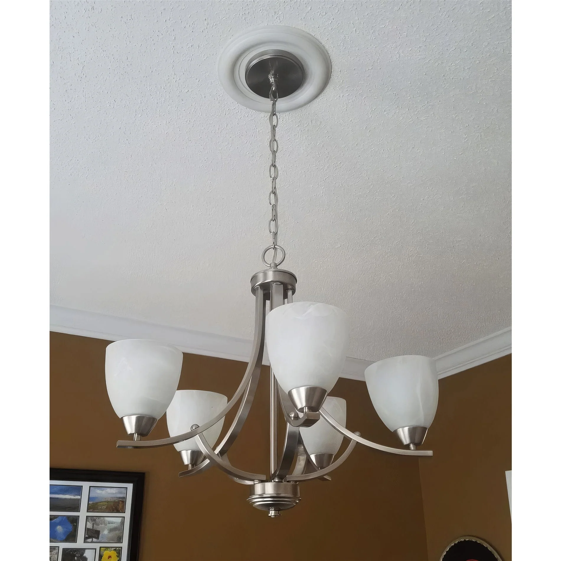 Weston 5 Alabaster Glass Shades / Replacement Glass, 3-Pack