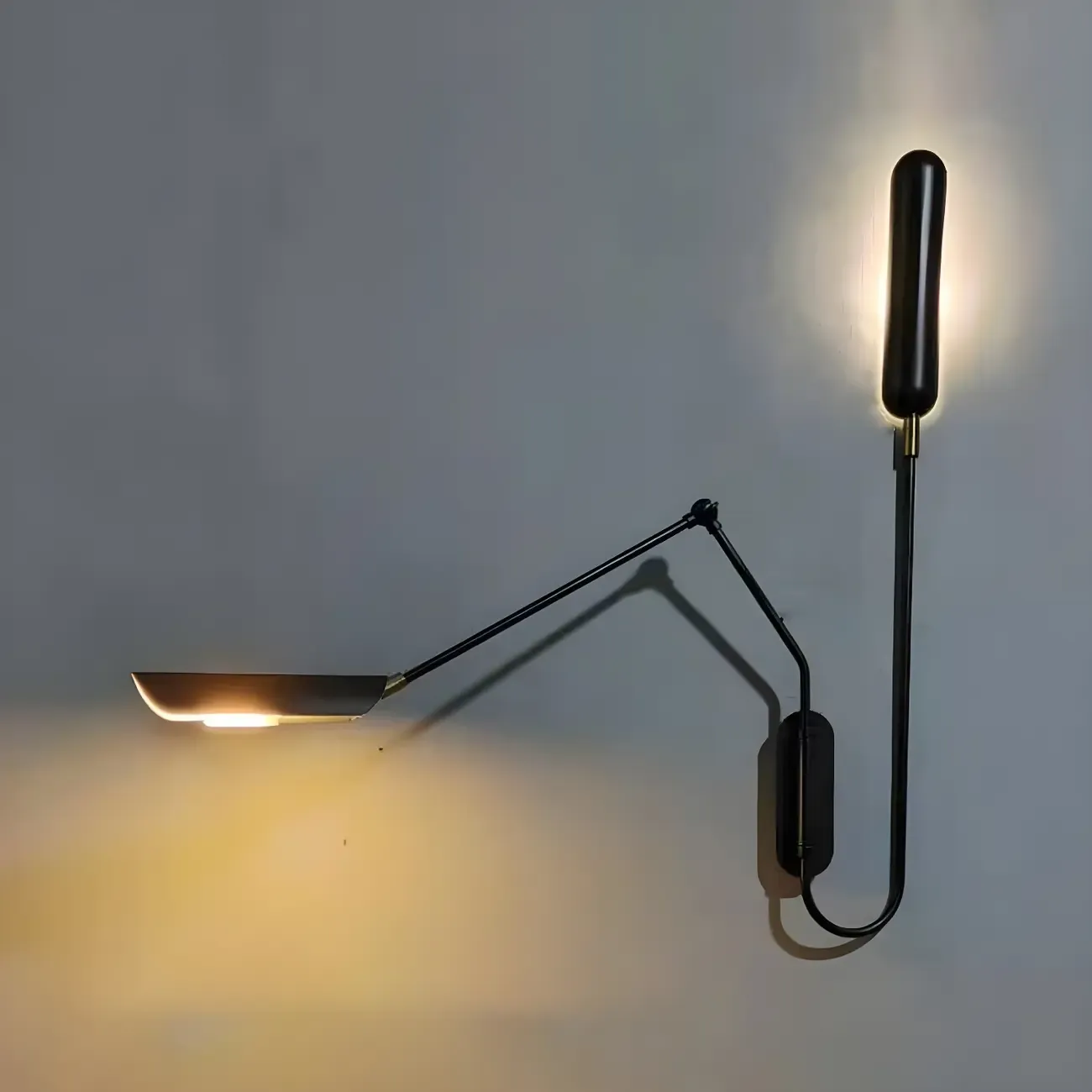 Modern Black Metal 2-Light Swing Arm Wall Light