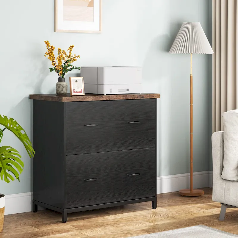 2 Drawer Lateral File Cabinet Printer Stand with Stroage