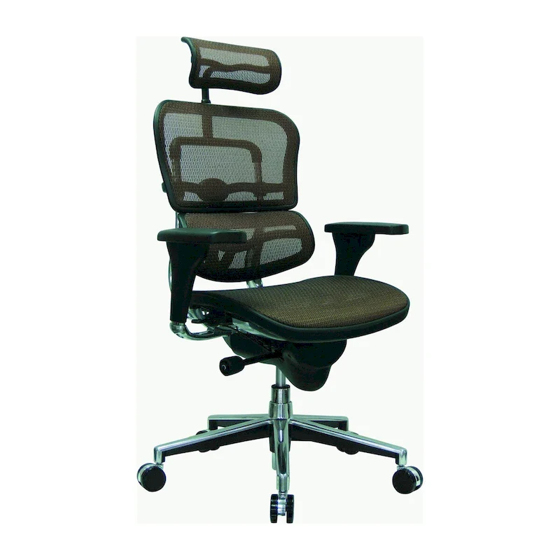 Ergohuman Mesh Managers Chair