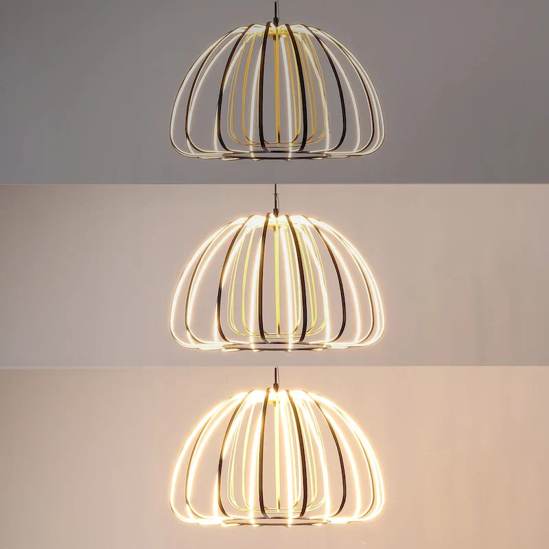 Adjustable Dimmable Cage Integrated LED Pendant, By JONATHAN Y