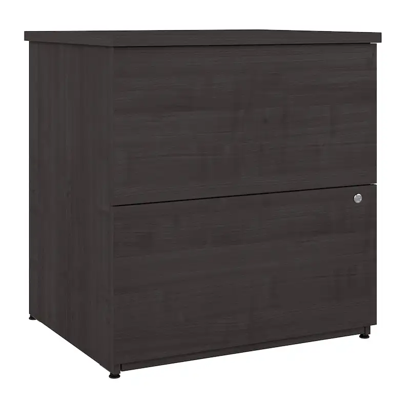 2-Drawer Lateral File Cabinet, Classic Style – Charcoal / Gray / Silver / White