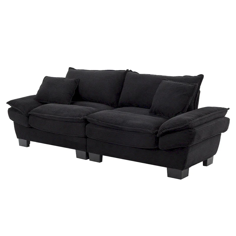 65.5 Upholstered 3-Seater Sofa Couch with Two Pillows and Sturdy Construction