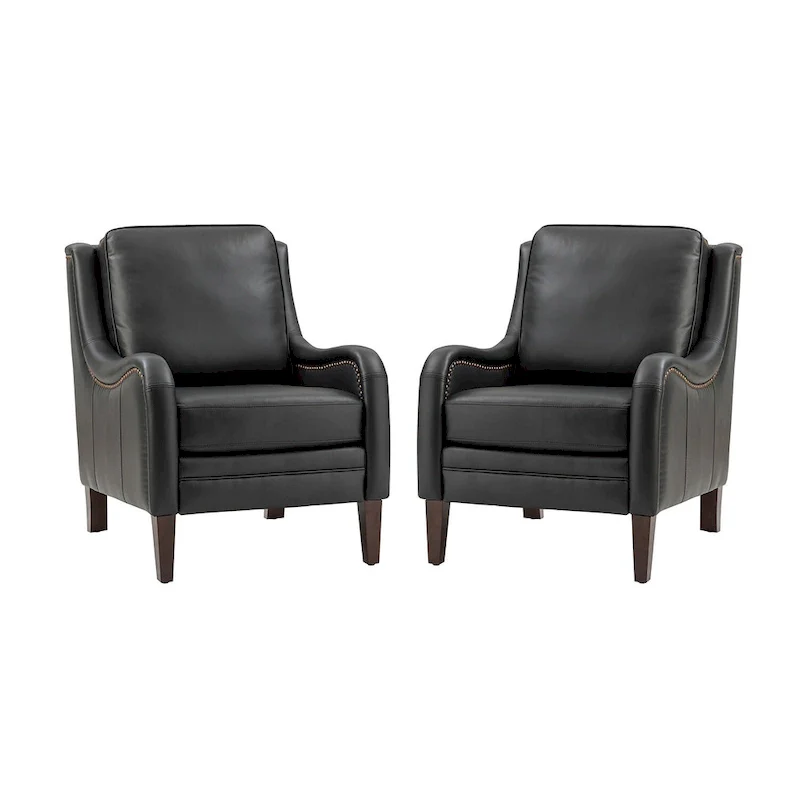 Pascual Comfy Living Room Armchair Set Of 2 with Solid Wood Legs