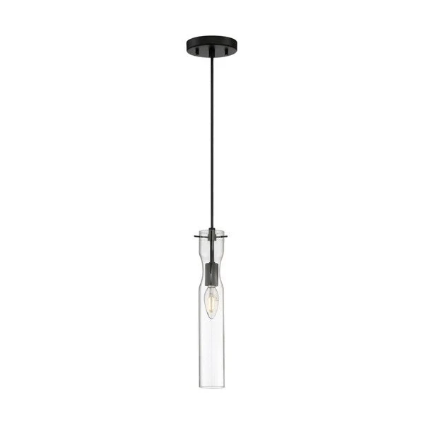 Spyglass 1-Light Mini Pendant Fixture - Black Finish with Clear Glass