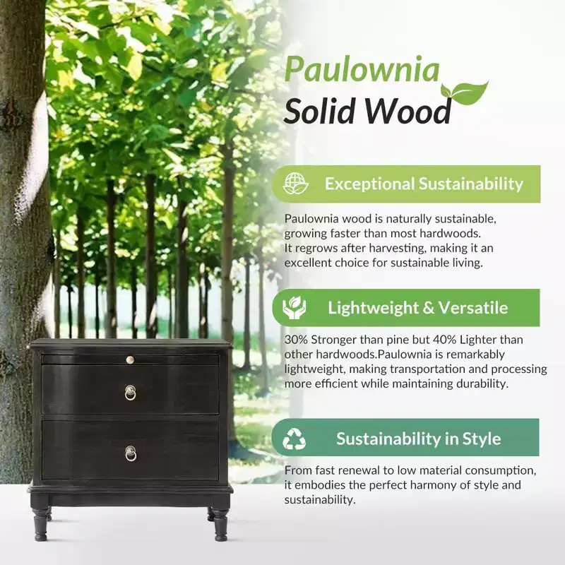 Honorio Traditional 2-Drawer Solid Wood End Table with Built-In Outlet|HULALA HOME