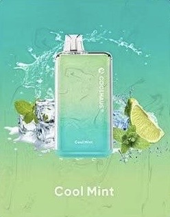 new COOLHAUS 8000 Puffs 10 Flavors