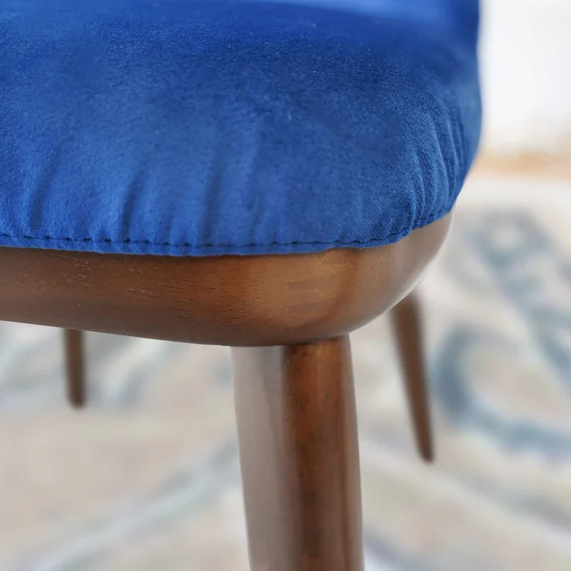 Dropia Mid-Century Modern Dining Chair Velvet (Set of 2)