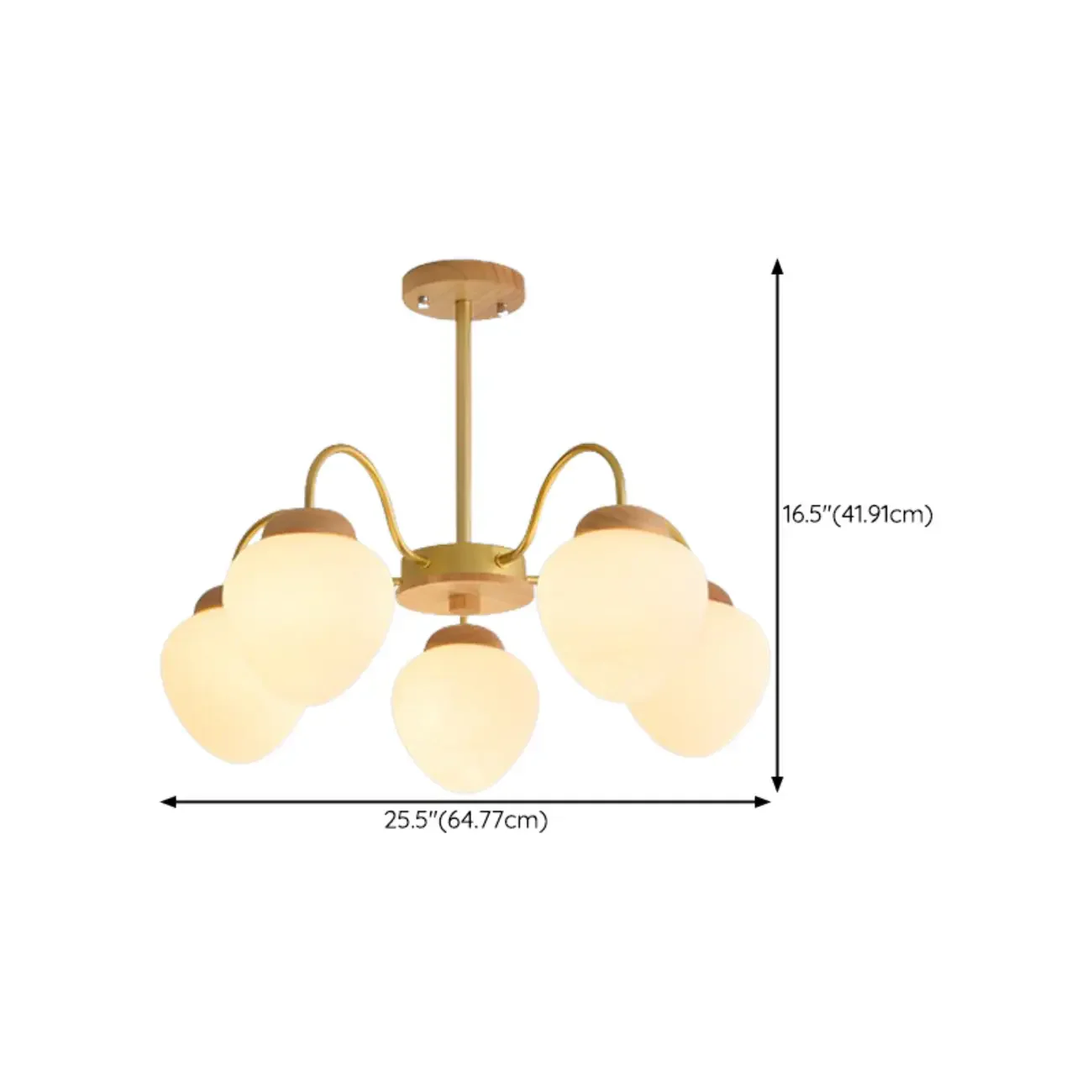 3/5/8-Light Modern Globe Ceiling Chandelier with Glass Shades