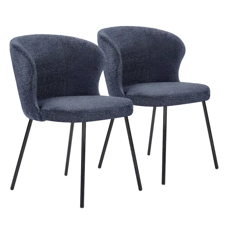 Modern Dining Chairs, Set of 2