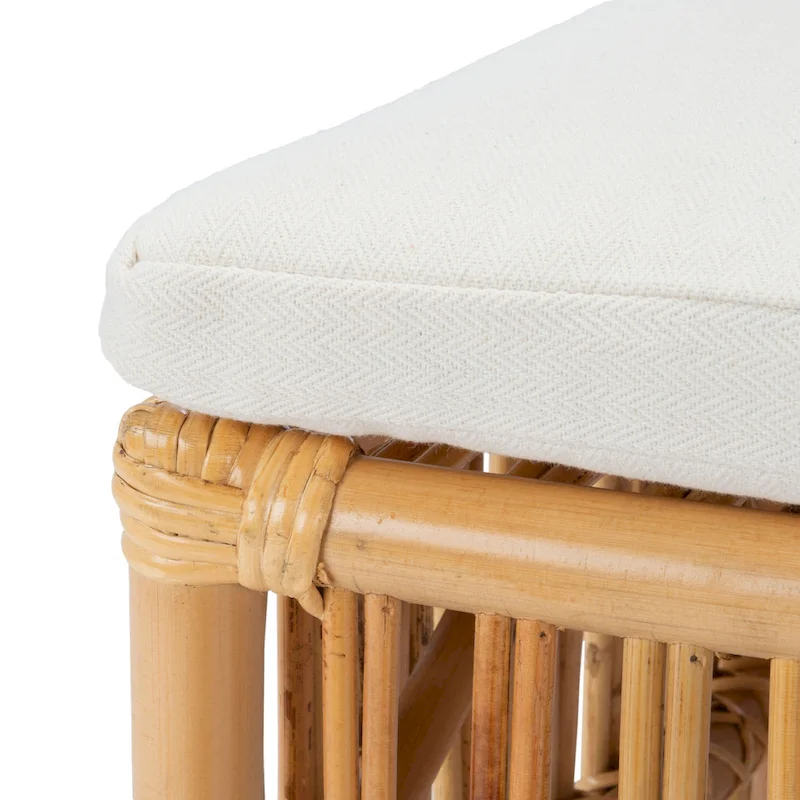 SAFAVIEH Patty Rattan Accent Chair with Cushion (Set of 2) - 19.7  W x 22.1  L x 35.4  H - 20Wx22Dx35H