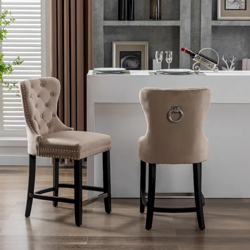 Carter 24  Wingback Tufted Nailhead Counter Stool (Set of 2)