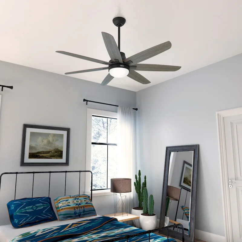 Hunter 60  Wilder Ceiling Fan with LED Light Kit and Wall Control
