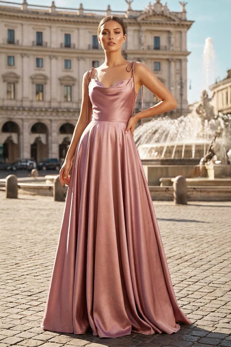 Sweet A-line Cowl Neck Silk Long Prom Dress