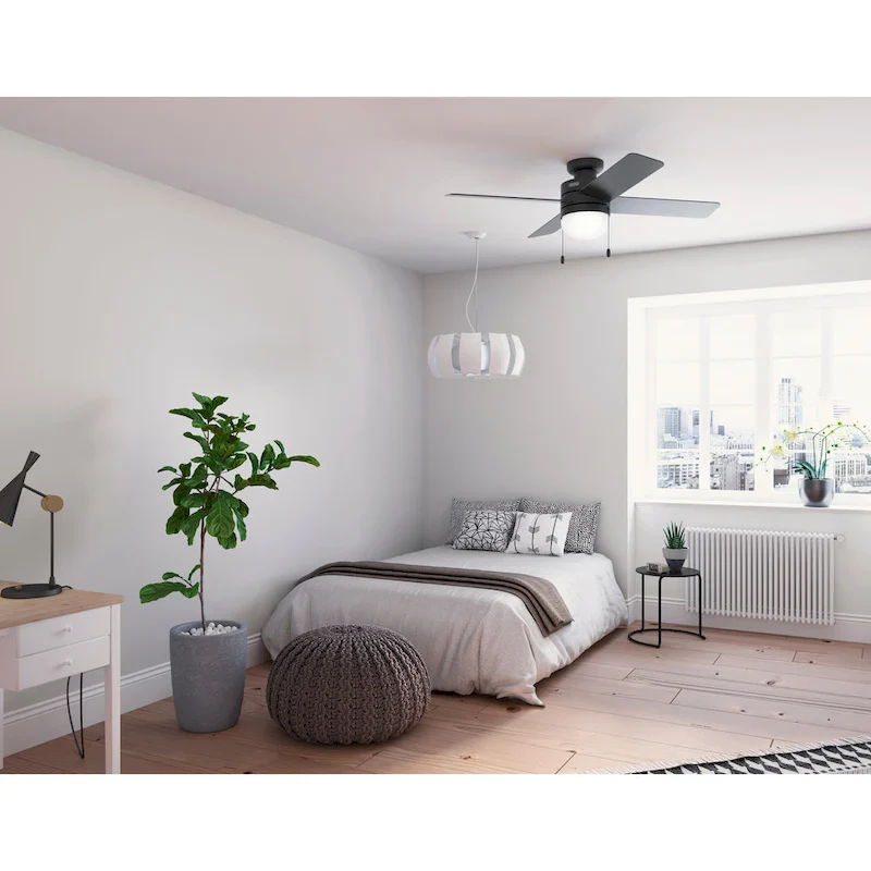 Hunter 52  Timpani Ceiling Fan w/ LED Light, Pull Chain