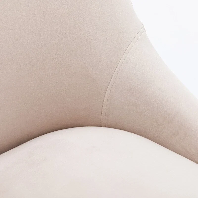 Mid Century Velvet Accent Dining Chair Set of 2 with Rear Handle