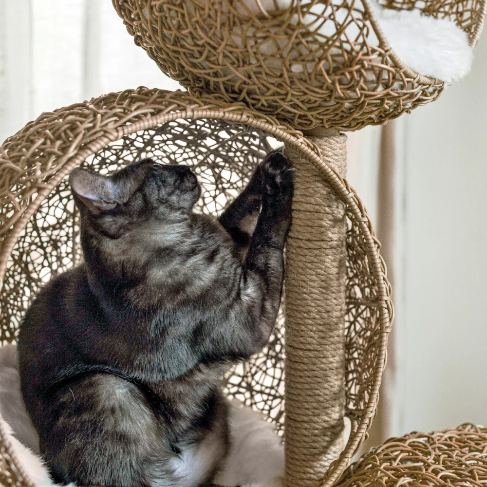 Lua Scratching Post