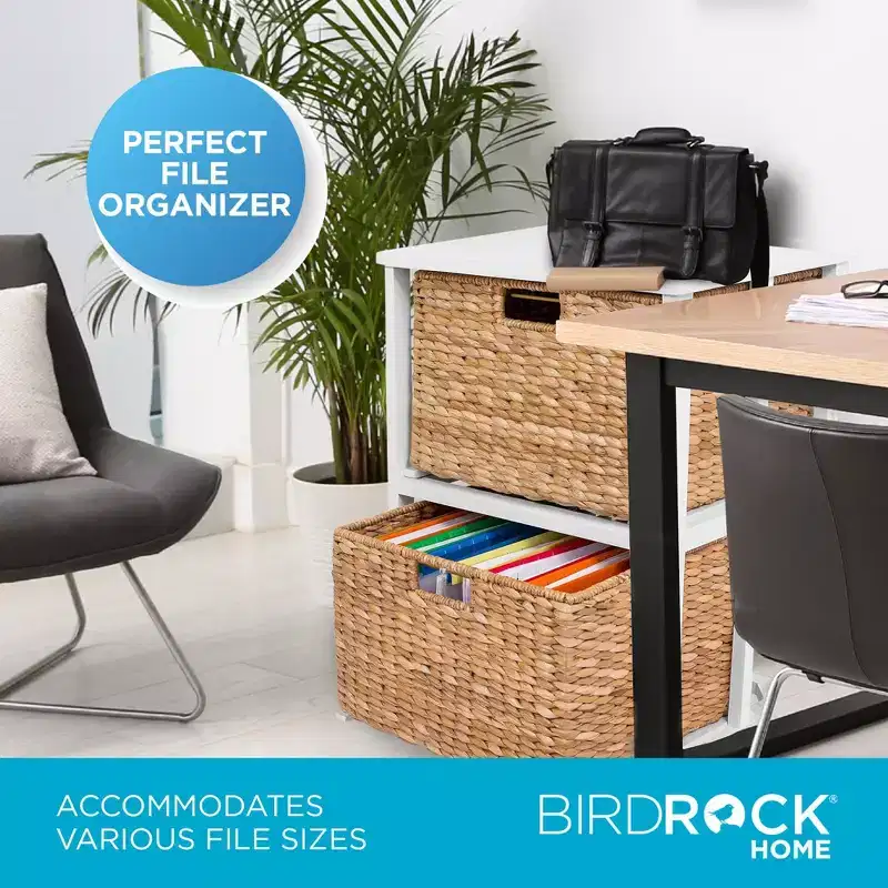 BirdRock Home Seagrass 2-Tier File Cubby Cabinet - Natural