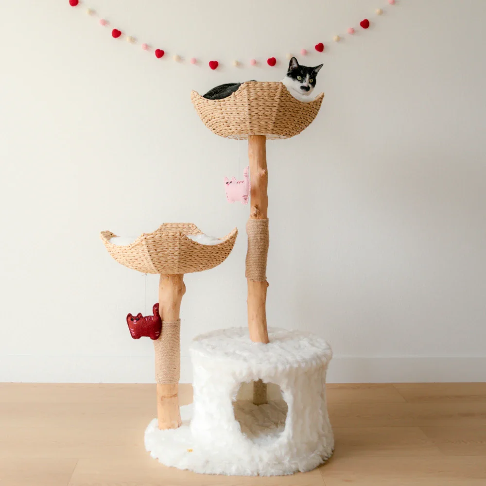 Limited Edition Sweetheart Kitty-Cat Pom-Poms