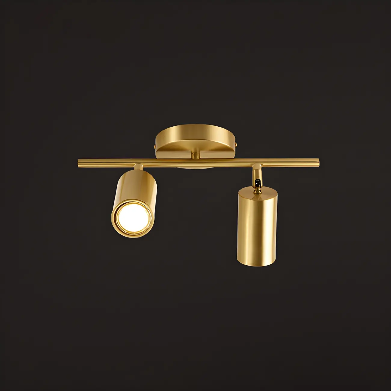 4 Light Gold Track Lighting with Adjustable Heads