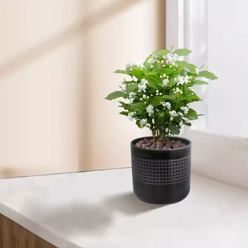 MAYEERTY 3-Piece Ceramic Flowerpot Modern Planter Black for Patio Garden Windowsills