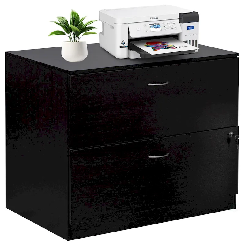 30 Wooden Lateral File Cabinet with Two Spacious Drawers, One Lockable - Suitable for Home Office, Offering Ample Space