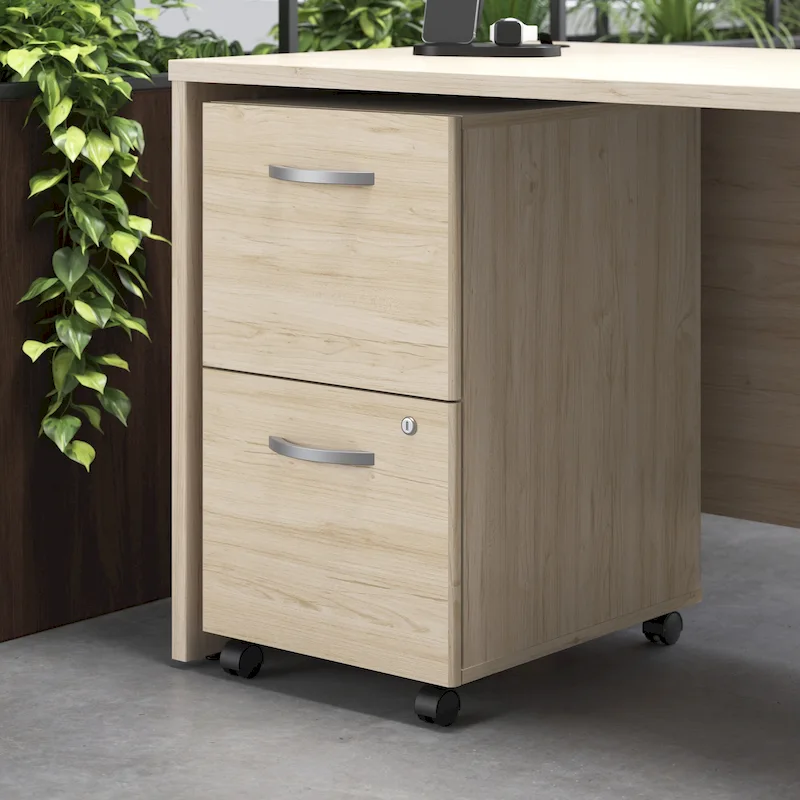 Studio C 2-drawer Mobile File Cabinet by Bush Business Furniture