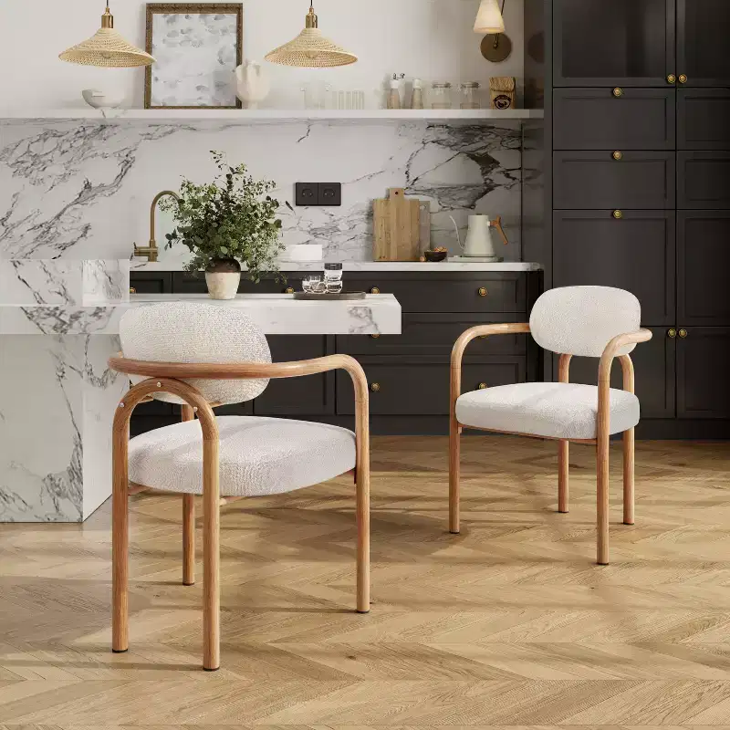 Christopher Knight Home Sumin Modern Metal Upholstered Dining Chairs with Backrest (Set of 2)