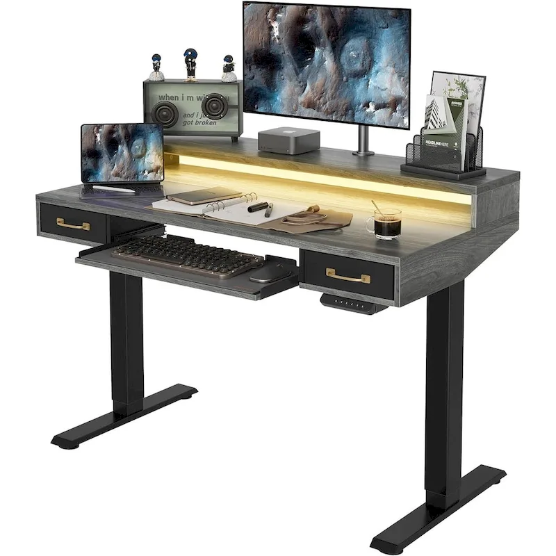 FEZIBO Height Adjustable Electric Standing Desk with Double Drawers&Keyboard Tray, Stand Up Desk with LED Strips